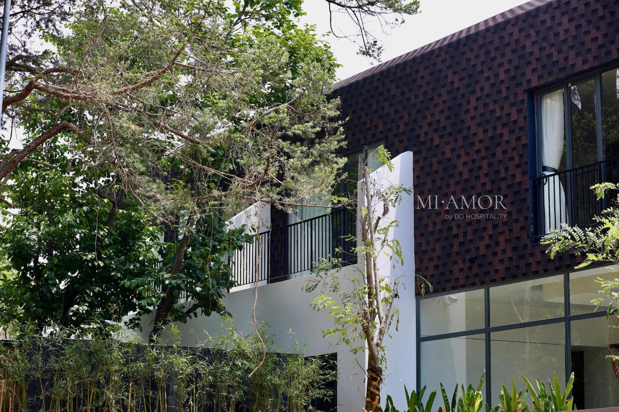 Dd Hospitality - Mi Amor Dalat Exteriér fotografie